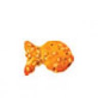 Goldfischli