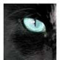 Katzenauge