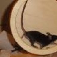 wolli