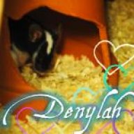 Denylah