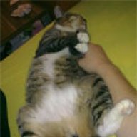 schnub