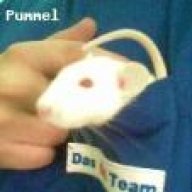 IlovemyRats