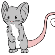Kitteh