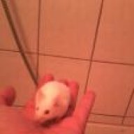 Mme Mupfel