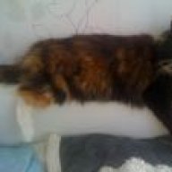 Fiona :)
