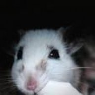farouchatte