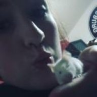 Bbbliebe