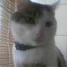 Circe