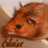 Cloe92