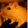 kerstin2412