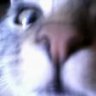 klexx