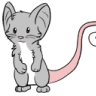 Kitteh