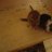 Almafi
