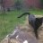 Peppi1997