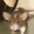 Semmi