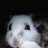farouchatte